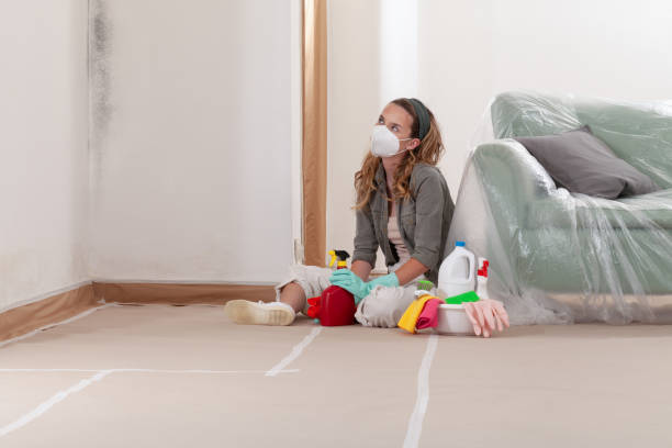 Reliable Mold Inspection contractor in Haskell, NJ by WQB Mold Removal